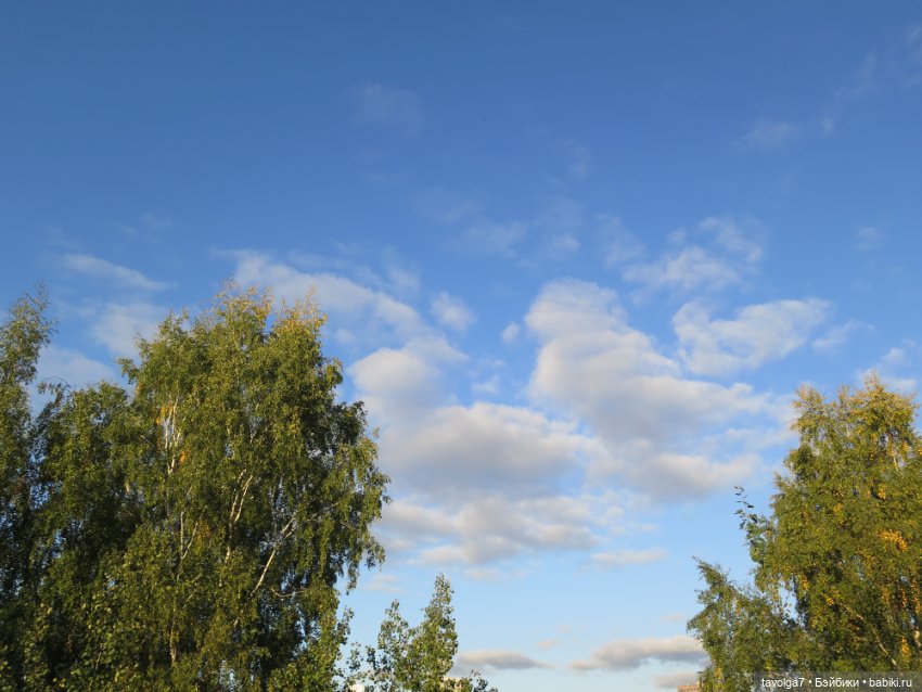 Mini Paola — Успеть в лето (фото 3)