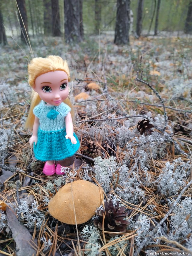 Олеся и грибы 🍄🍄🍄 — Игровые куклы разных производителей (Разное): редкие бренды (фото 2)
