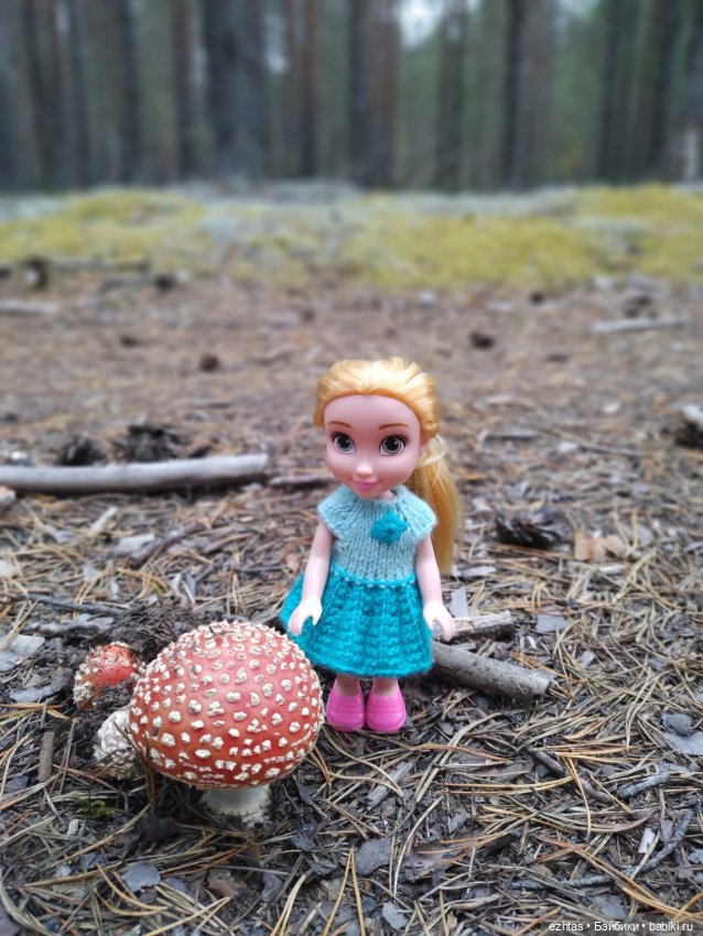 Олеся и грибы 🍄🍄🍄 — Игровые куклы разных производителей (Разное): редкие бренды (фото 4)