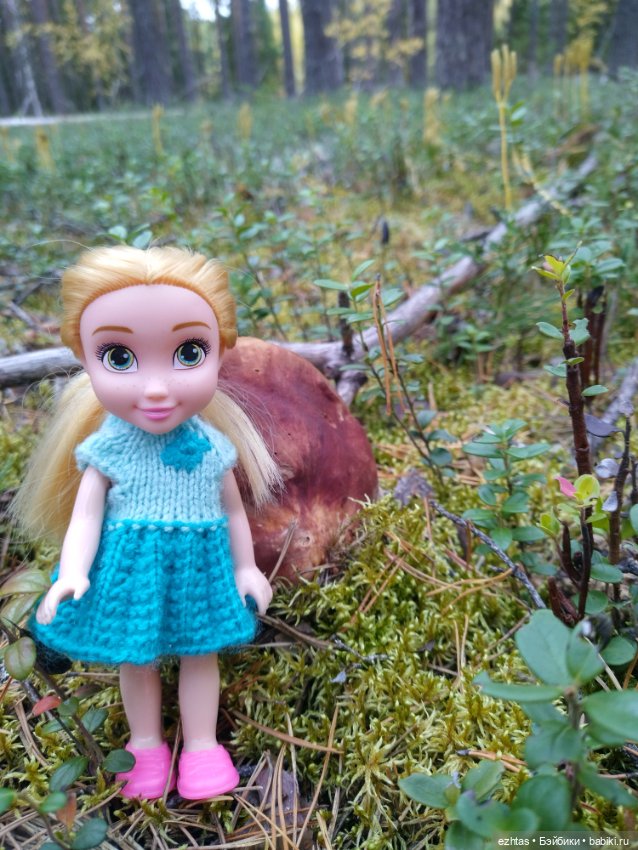 Олеся и грибы 🍄🍄🍄 — Игровые куклы разных производителей (Разное): редкие бренды (фото 3)