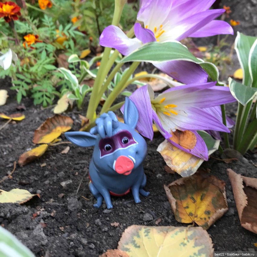 Кабанчик Куба — Интересные игрушки и фигурки (разное): редкие