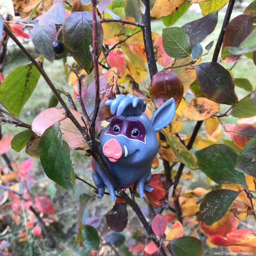 Кабанчик Куба — Интересные игрушки и фигурки (разное): редкие (фото 6)