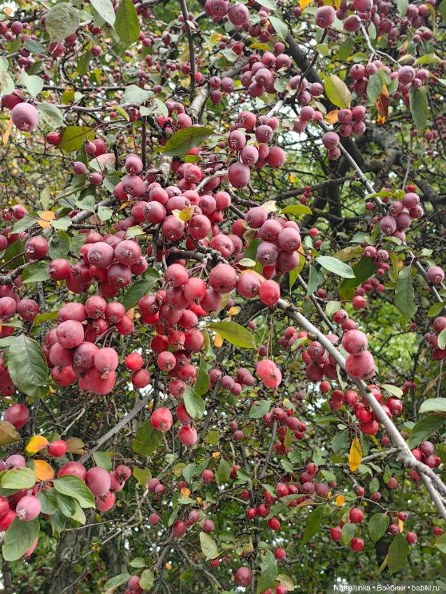 Музыкальная история 47 — Туризм и путешествия: фотоотчеты из поездок (фото 5)