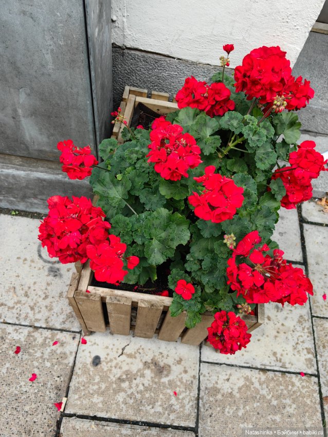 Музыкальная история 47 — Туризм и путешествия: фотоотчеты из поездок