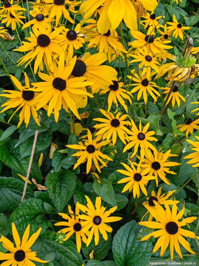 Музыкальная история 47 — Туризм и путешествия: фотоотчеты из поездок