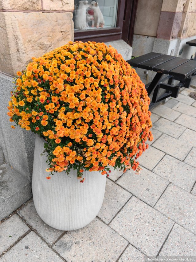 Музыкальная история 47 — Туризм и путешествия: фотоотчеты из поездок (фото 2)