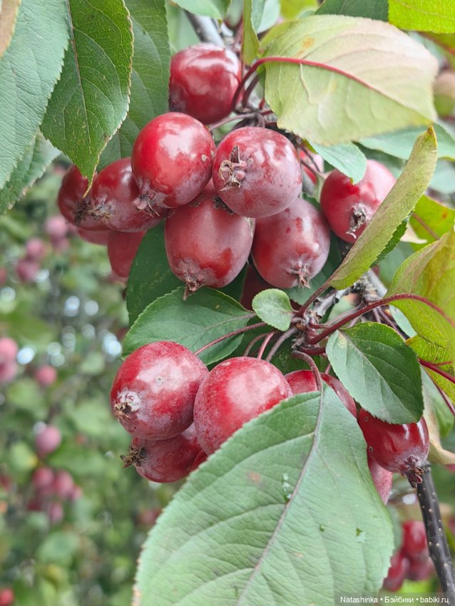 Музыкальная история 47 — Туризм и путешествия: фотоотчеты из поездок (фото 6)