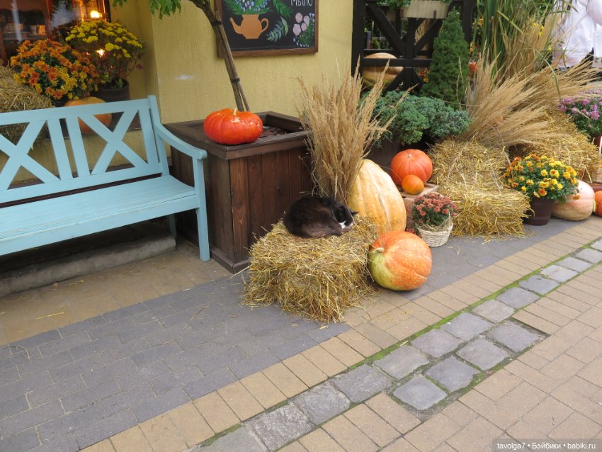 Мабон — Туризм и путешествия: фотоотчеты из поездок (фото 8)