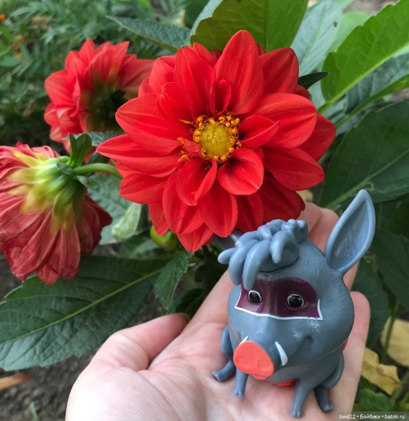 Кабанчик Куба — Интересные игрушки и фигурки (разное): редкие