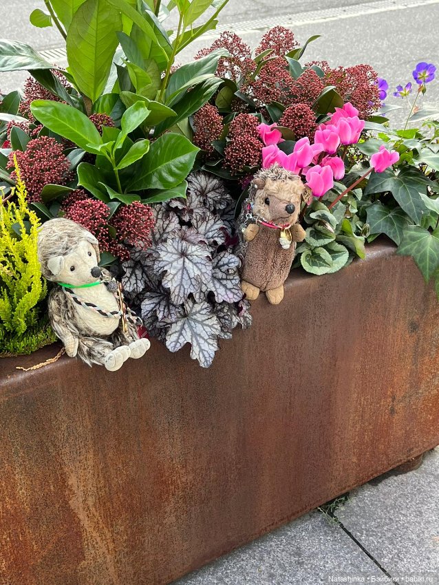 Музыкальная История 48 — Туризм и путешествия: фотоотчеты из поездок