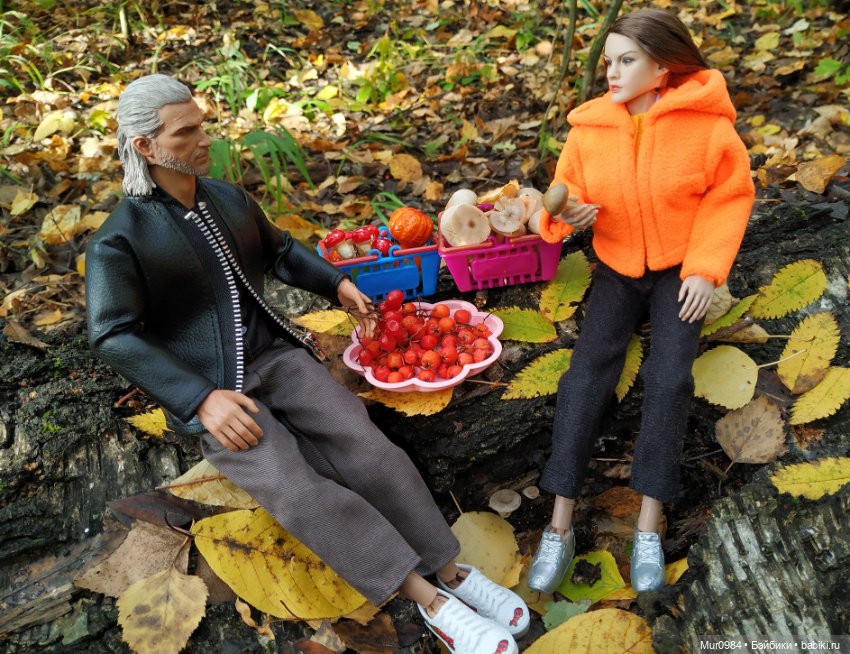 Сбор даров леса и осеннего урожая (фото 4)