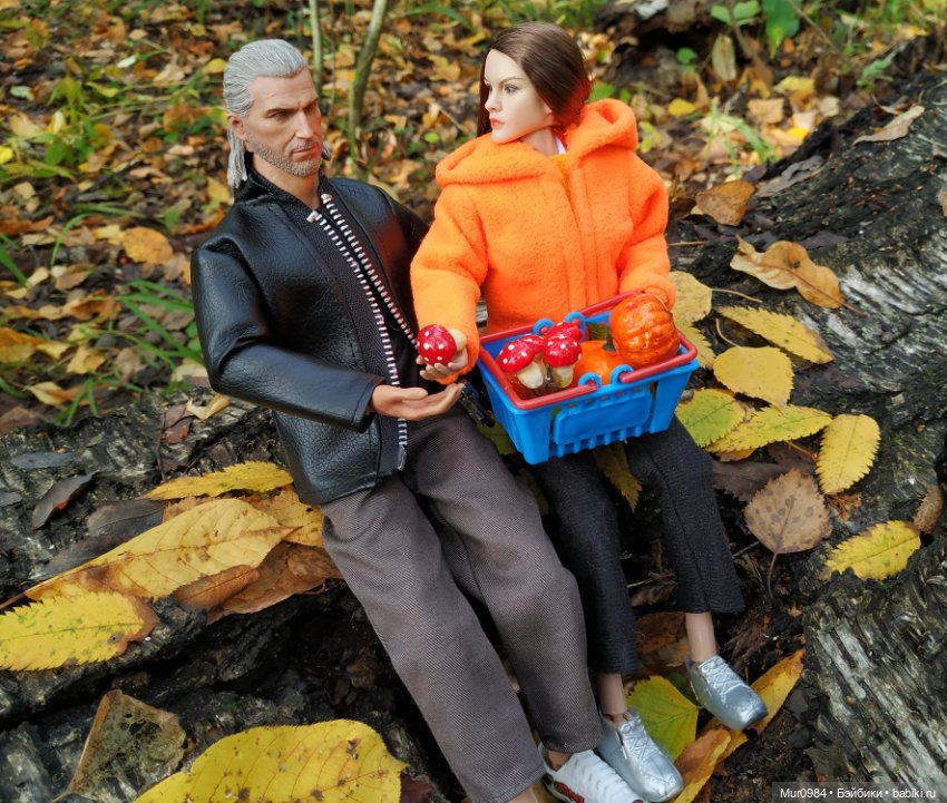 Сбор даров леса и осеннего урожая (фото 7)