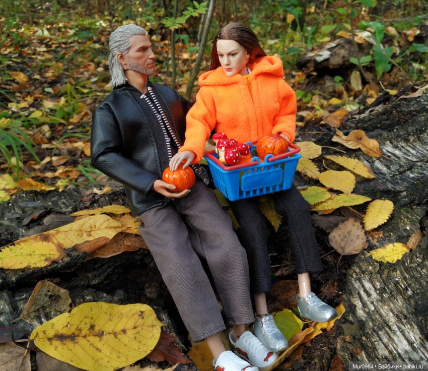 Сбор даров леса и осеннего урожая (фото 5)