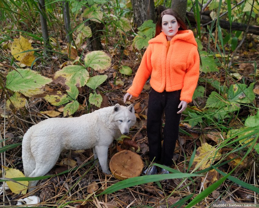 Сбор даров леса и осеннего урожая (фото 9)