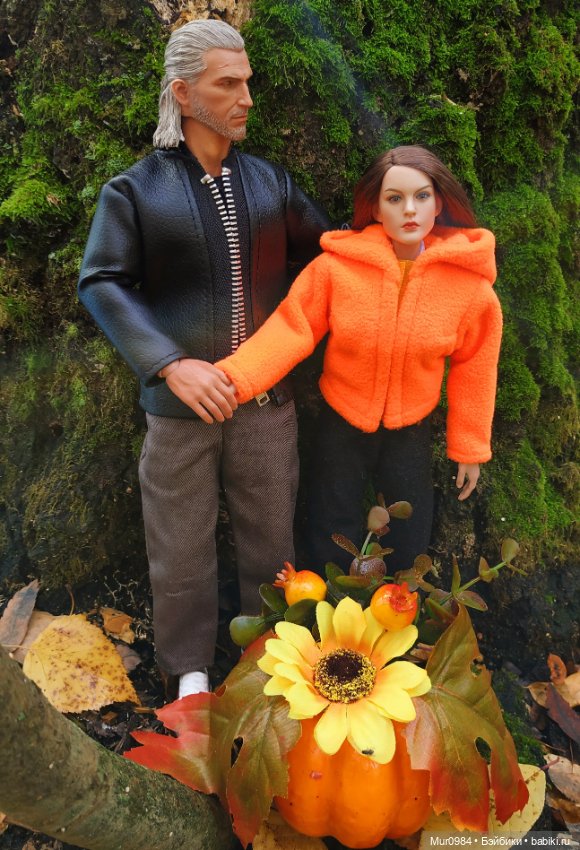 Сбор даров леса и осеннего урожая