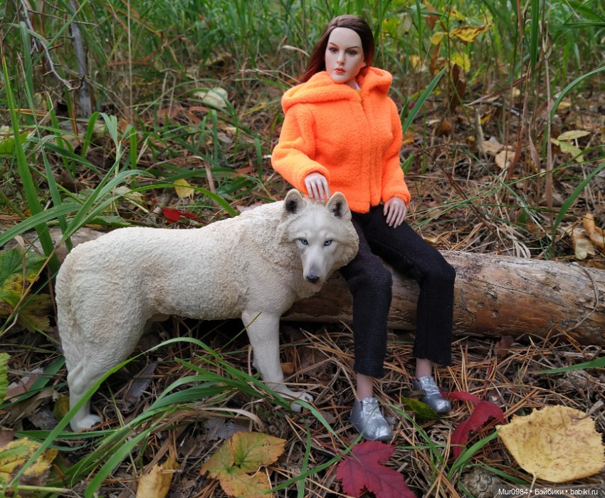 Сбор даров леса и осеннего урожая