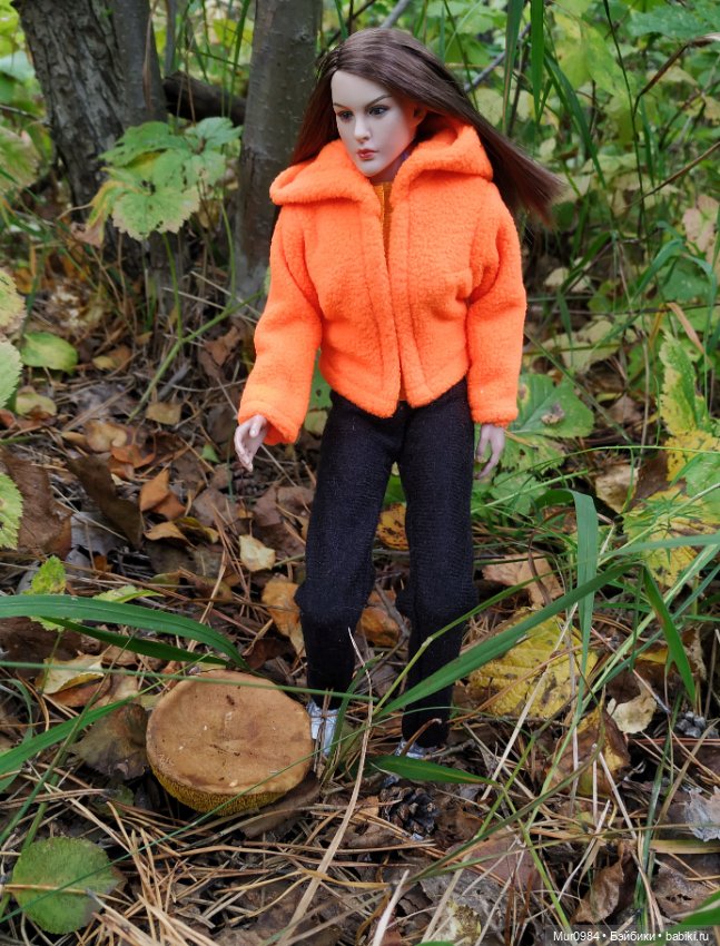 Сбор даров леса и осеннего урожая (фото 8)