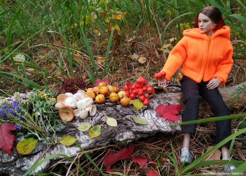 Сбор даров леса и осеннего урожая