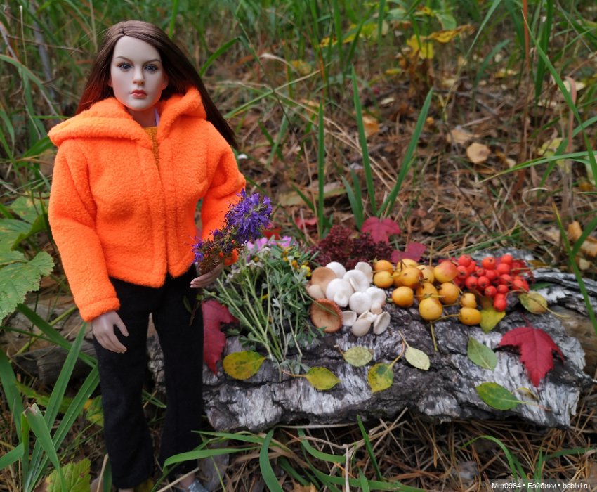 Сбор даров леса и осеннего урожая