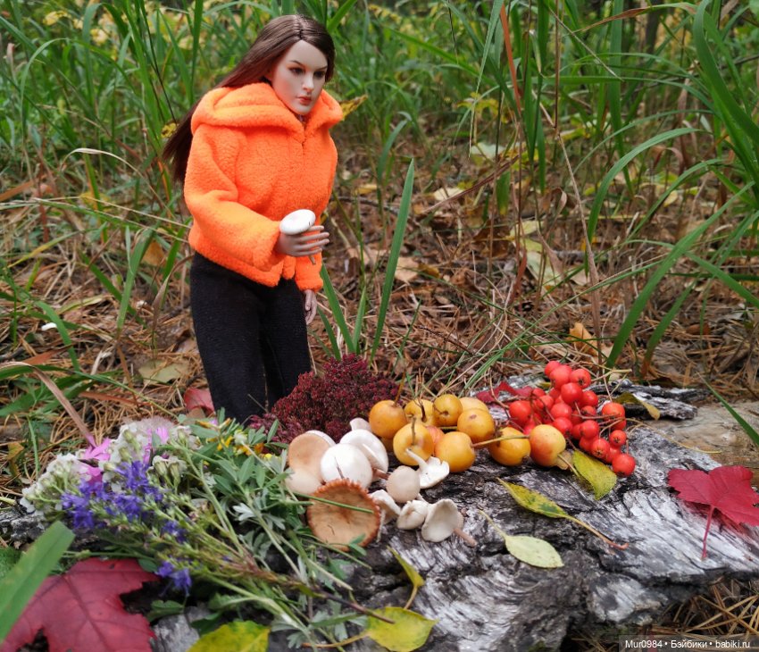 Сбор даров леса и осеннего урожая (фото 10)