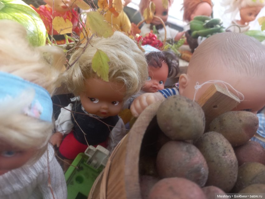 Праздник урожая 2023. Фотоотчет