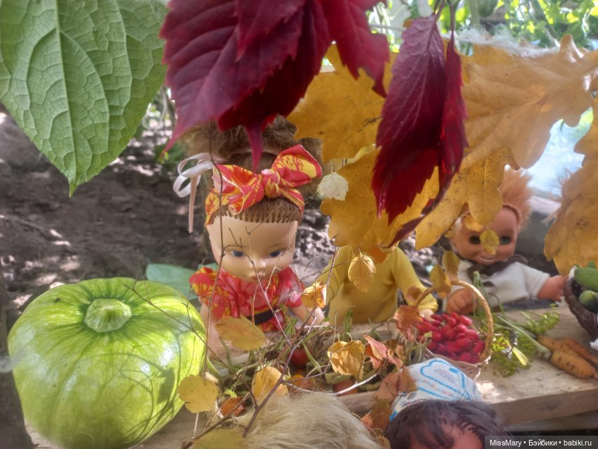 Праздник урожая 2023. Фотоотчет