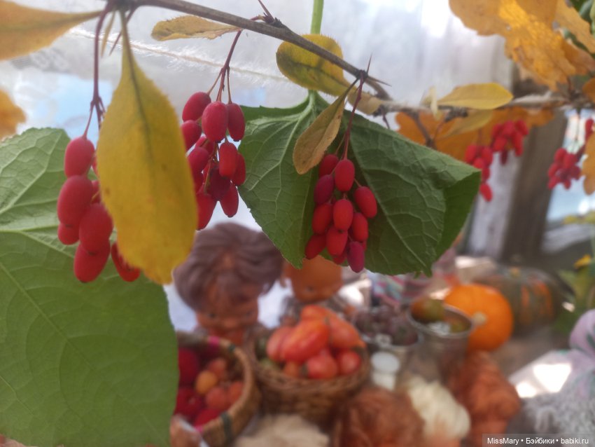 Праздник урожая 2023. Фотоотчет