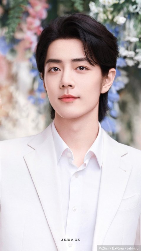 Любимый Сяо Чжань — Разные шарнирные куклы (не БЖД): редкие