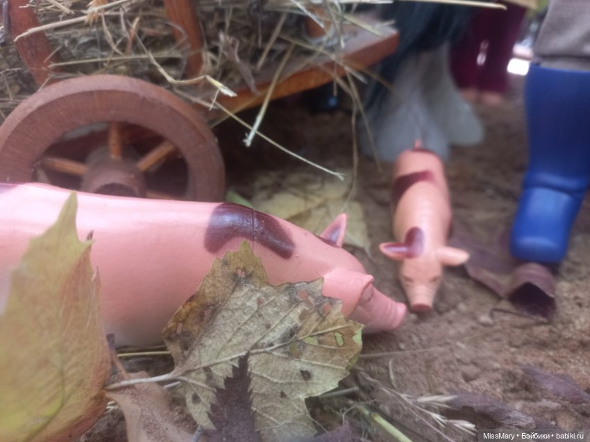 Праздник урожая 2023. Фотоотчет