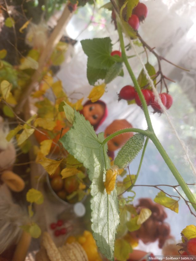 Праздник урожая 2023. Фотоотчет