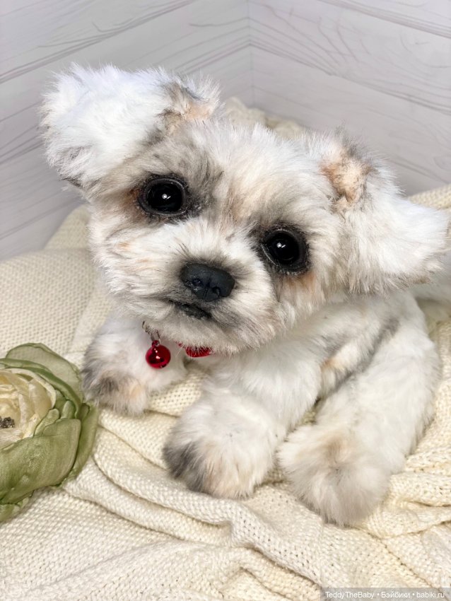 Зая 🐶🐾 — Реалистичные игрушки и звери (Натюр): собаки