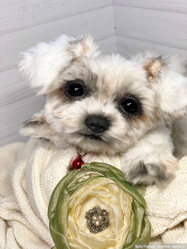 Зая 🐶🐾 — Реалистичные игрушки и звери (Натюр): собаки