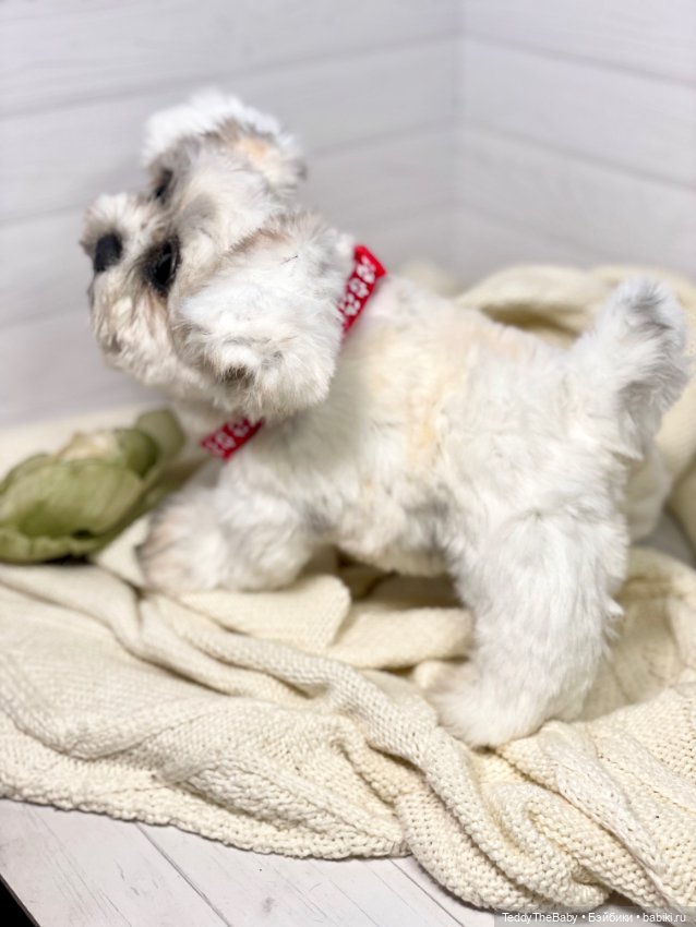 Зая 🐶🐾 — Реалистичные игрушки и звери (Натюр): собаки