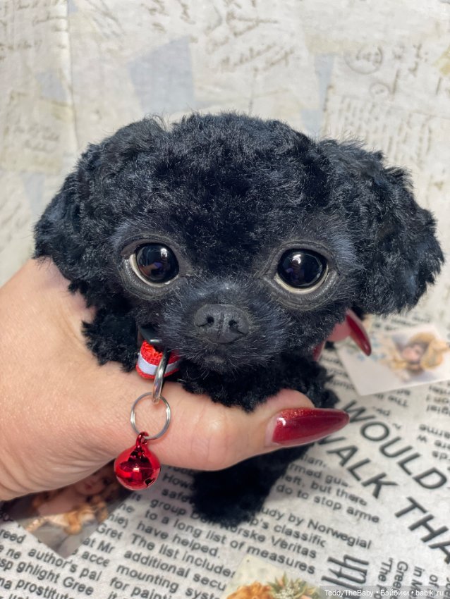 Blacky — Реалистичные игрушки и звери (Натюр): собаки