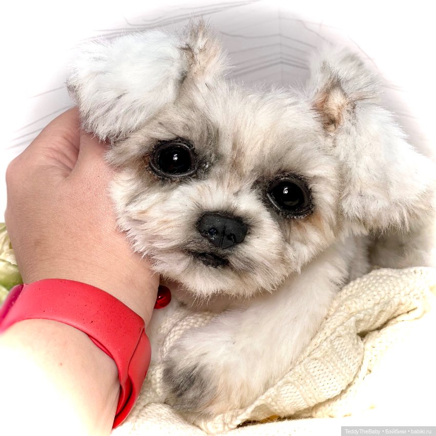 Зая 🐶🐾 — Реалистичные игрушки и звери (Натюр): собаки