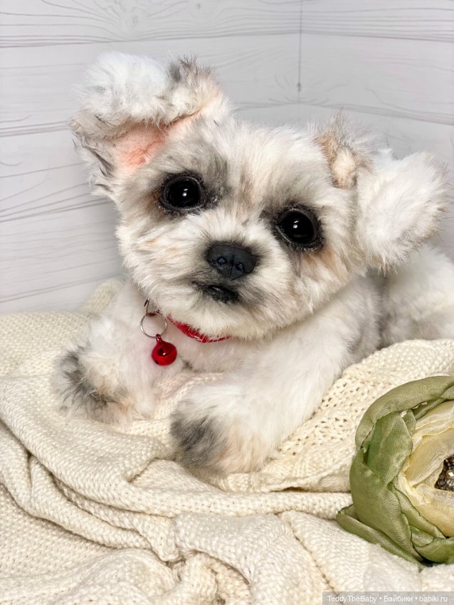 Зая 🐶🐾 — Реалистичные игрушки и звери (Натюр): собаки