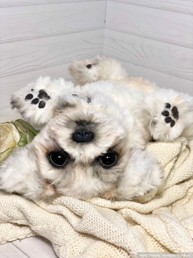 Зая 🐶🐾 — Реалистичные игрушки и звери (Натюр): собаки (фото 8)