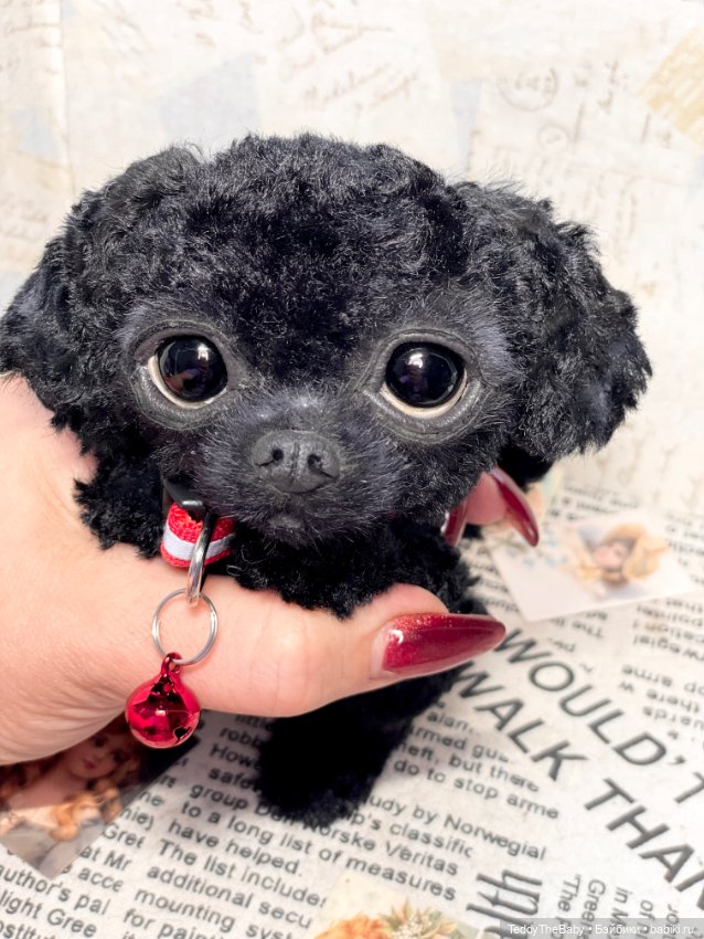 Blacky — Реалистичные игрушки и звери (Натюр): собаки