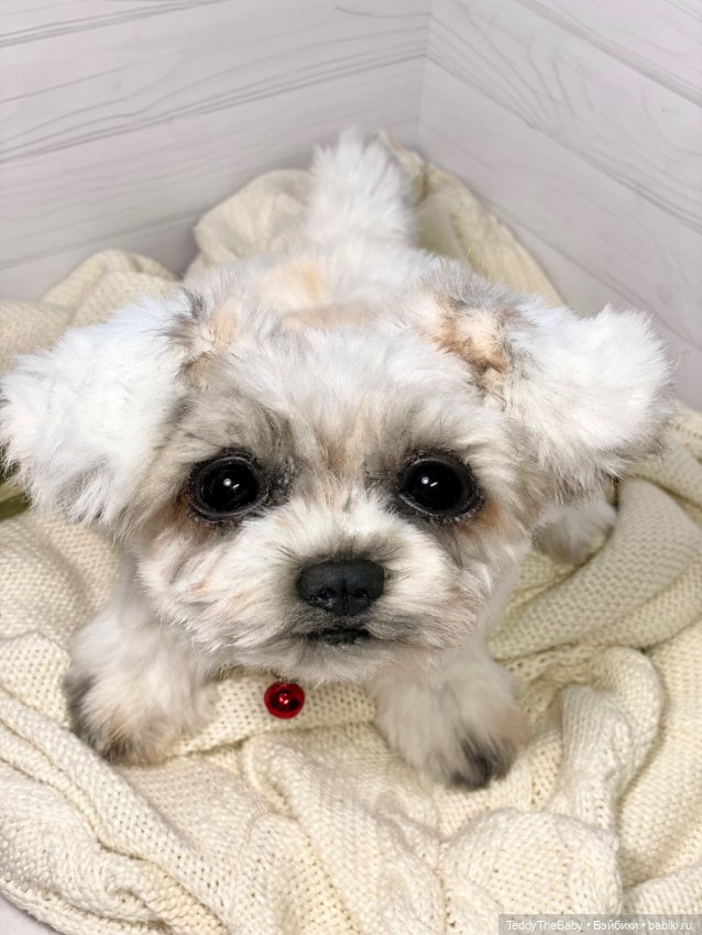 Зая 🐶🐾 — Реалистичные игрушки и звери (Натюр): собаки