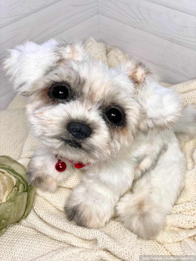 Зая 🐶🐾 — Реалистичные игрушки и звери (Натюр): собаки