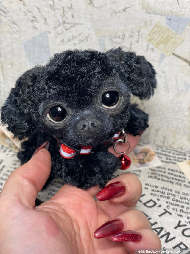 Blacky — Реалистичные игрушки и звери (Натюр): собаки (фото 4)