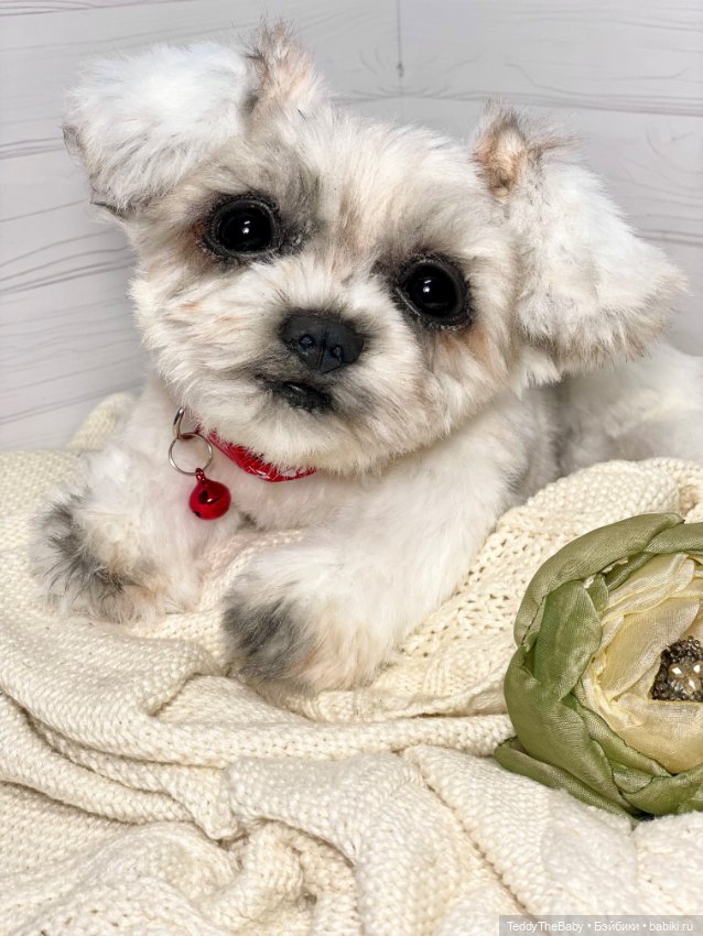 Зая 🐶🐾 — Реалистичные игрушки и звери (Натюр): собаки