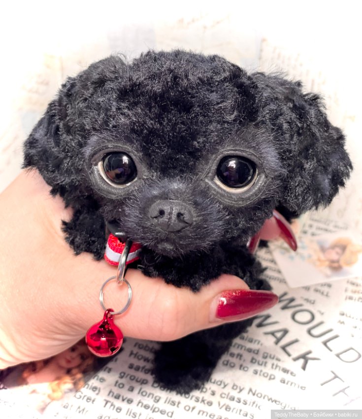 Blacky — Реалистичные игрушки и звери (Натюр): собаки