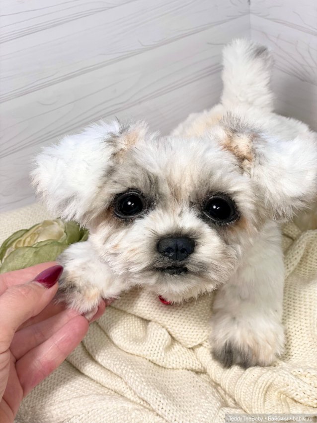 Зая 🐶🐾 — Реалистичные игрушки и звери (Натюр): собаки