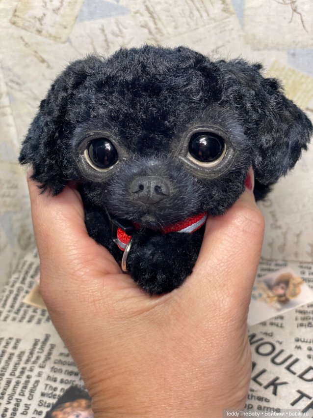 Blacky — Реалистичные игрушки и звери (Натюр): собаки