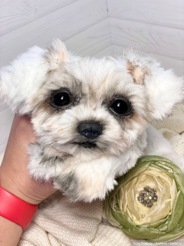 Зая 🐶🐾 — Реалистичные игрушки и звери (Натюр): собаки (фото 10)