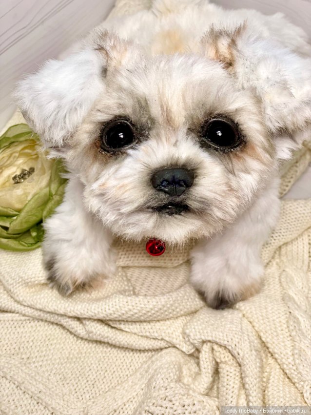 Зая 🐶🐾 — Реалистичные игрушки и звери (Натюр): собаки (фото 3)