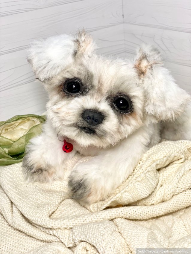 Зая 🐶🐾 — Реалистичные игрушки и звери (Натюр): собаки (фото 2)