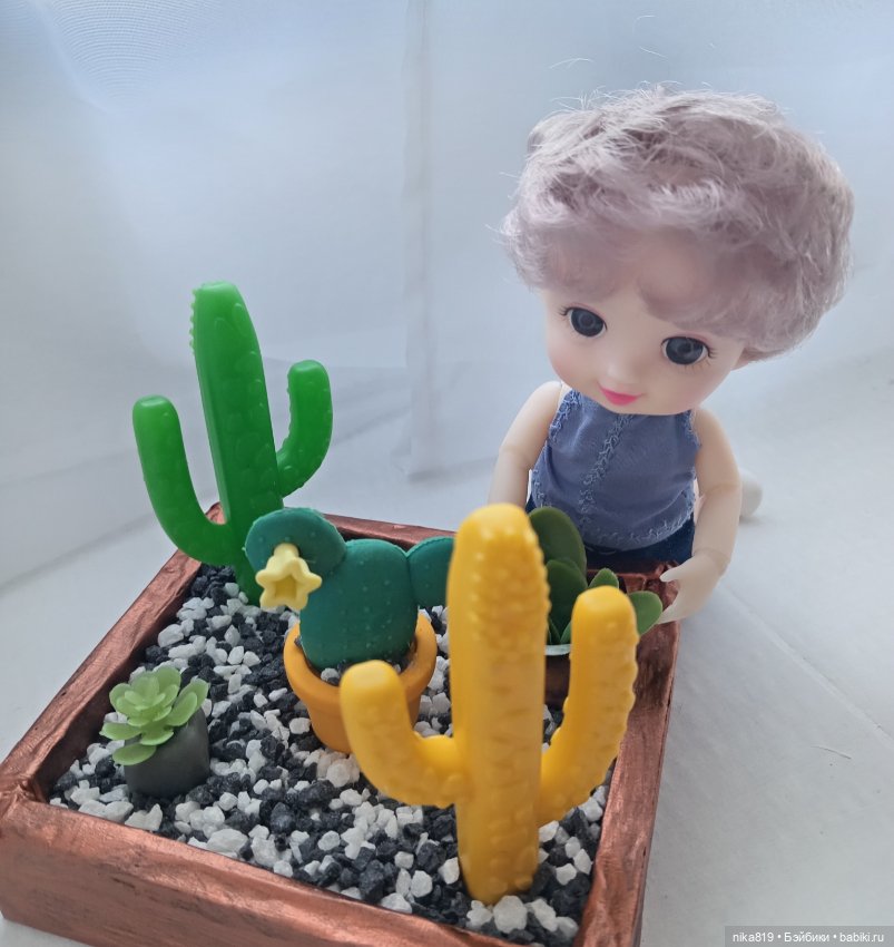 Суккулентный садик — Болталка и разговоры обо всем: жизнь (фото 5)