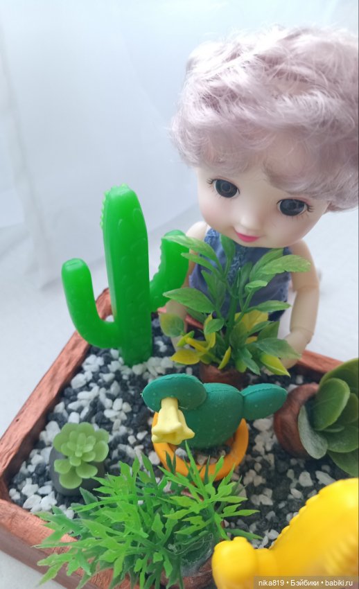 Суккулентный садик — Болталка и разговоры обо всем: жизнь (фото 4)